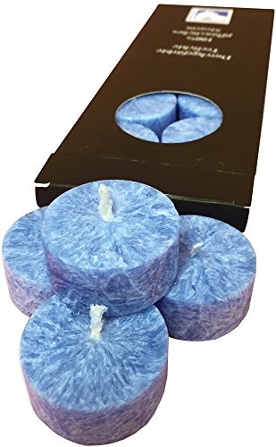Kerzenfarm plaristo Pflegelinie Palm Wax Teelichter mit 4,5 cm Durchmesser Glas klar Tee Light-Holder, blau, 10 Stück von Kerzenfarm
