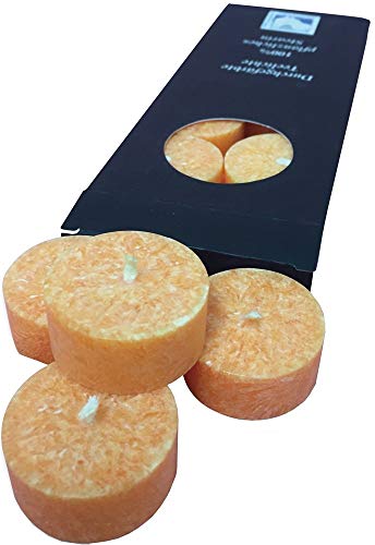 plaristo Pflegelinie Palm Wax Teelichter mit 4,5 cm Durchmesser Glas klar Tee light-holder, orange, 10 Stück von Kerzenfarm