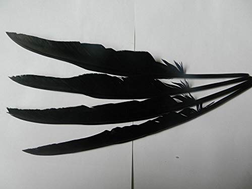 Rabenfedern, handgefertigt, Bastelzubehör, lange schwarze Feder, 30 - 35 cm, 15 Stück, Schwarz von Kesheng