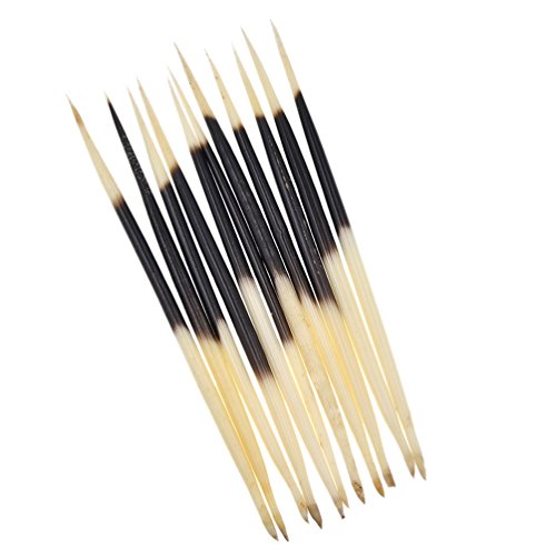 Kesheng 10 Stücke Stachelschweinborsten Porcupine Quills Basteln Ornament Dekor von Kesheng