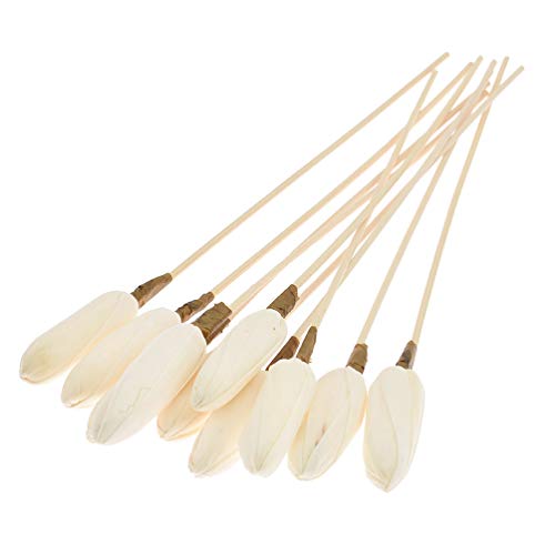 Kesheng 10x Rattanstäbchen mit Kugeln Knospen für Raumduft Diffuser Dekor Ersatz Kesheng 10x Rattanstäbchen mit Kugeln Knospen für Raumduft Diffuser Dekor Ersatz von Kesheng