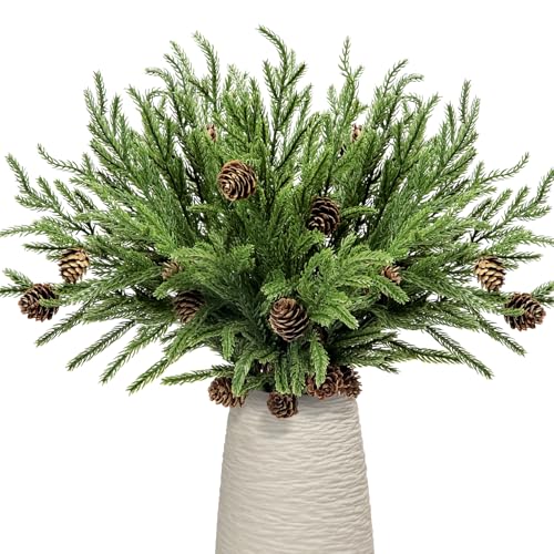 Norfolk Tannenzapfen mit Tannenzapfen, 43,2 cm, Weihnachtsgrün, Norfolk-Tannenstiele mit Tannenzapfen, künstliche Tannenzweige, für Weihnachtsbaumfüller, Picks, DIY-Girlande, Kranz und Norfolk Tannenzapfen mit Tannenzapfen, 43,2 cm, Weihnachtsgrün, Norfolk-Tannenstiele mit Tannenzapfen, künstliche Tannenzweige, für Weihnachtsbaumfüller, Picks, DIY-Girlande, Kranz und von Kesywale