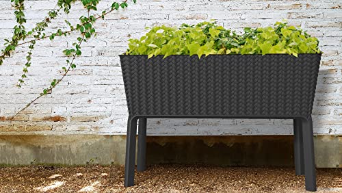 KETER - Blumenkasten Splendor Graphit 114 x 49,3 x 75,7 cm, K252590 von Keter