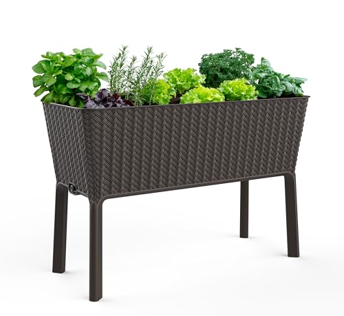 Keter Easy Hochbeet mit selbstbewässerndem Pflanzkasten und Ablaufstopfen, perfekt für den Anbau von frischem Gemüse, Blumen und Kräutern, Graphit Keter Easy Hochbeet mit selbstbewässerndem Pflanzkasten und Ablaufstopfen, perfekt für den Anbau von frischem Gemüse, Blumen und Kräutern, Graphit von Keter