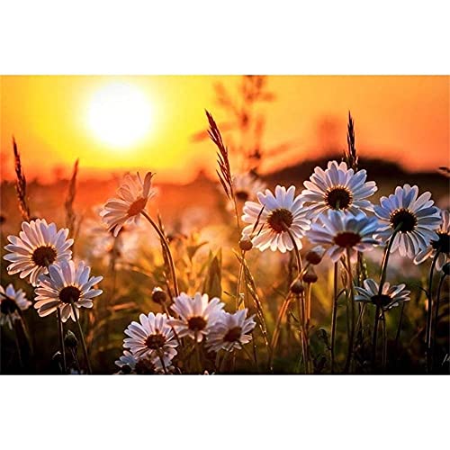 5D Diamant Painting Bilder Full Groß,Weißes Gänseblümchen Sonne DIY Diamond Painting Set für Erwachsene und Kinder,Crystal Strass Stickerei Kreuzstich Malerei Arts für Home Wall Décor 80x120cm/32x48in 5D Diamant Painting Bilder Full Groß,Weißes Gänseblümchen Sonne DIY Diamond Painting Set für Erwachsene und Kinder,Crystal Strass Stickerei Kreuzstich Malerei Arts für Home Wall Décor 80x120cm/32x48in von Kewier