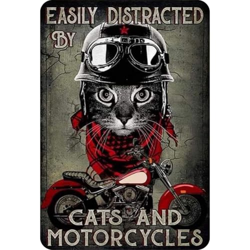 Blechschild für Motorrad, rechteckig, Malerei, Eisen, Wand, Dekoration, Haus, Bar, 30 x 40 cm Blechschild für Motorrad, rechteckig, Malerei, Eisen, Wand, Dekoration, Haus, Bar, 30 x 40 cm von Kexpery