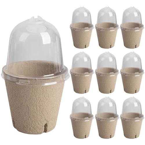 Kexpery 10 Stück Sämlingsbecher Samenstarter transparenter Deckel Keimpflanzer biologisch abbaubare Gewächshaus-Zuchtbox vielseitiges Gartenzubehör (8 cm) von Kexpery