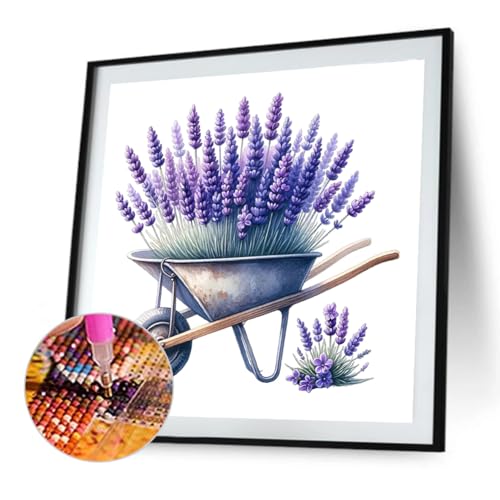 Kexpery Lackkit nach Nummern 30x30 cm Blumen 5d DIY DIY Wanddekoration for Schlafzimmereingang von Kexpery