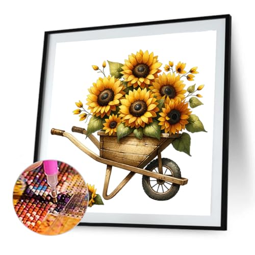 Kexpery Lackkit nach Nummern 30x30 cm Blumen 5d DIY DIY Wanddekoration for Schlafzimmereingang von Kexpery