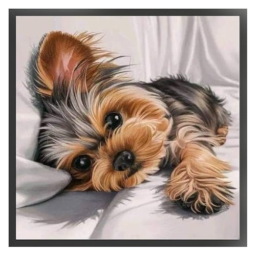Kreuzstich-Set für Hunde, 40 x 40 cm, DIY, 11 CT, künstlerisches Design, für Dekoration zu Hause, Geschenk von Kexpery