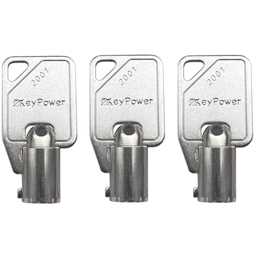 (3) KeyPower 2001-2100 Schlüssel für Sentry Safe-Schlossboxen, röhrenförmiger Zylinder, runder Ace-Schlüssel, vorgeschnitten nach Ihrem Code: 2037 von KeyPower