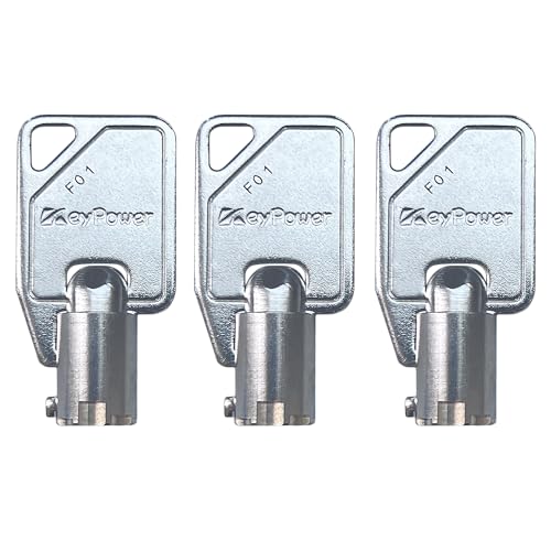 (3) KeyPower F00 – F24 Rohrschlüssel für Homak Waffenschrank Tresore und Werkzeugkästen, vorgeschnitten nach Schlüsselcode (F01) von KeyPower