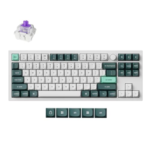 Keychron Q3 HE Wireless Custom Mechanical Tastatur,80% ANSI Layout QMK/VIA Programmierbares Vollaluminium Bluetooth/Wired RGB Hot-Swapable Hall Effect Gateron Magn (Weiß) von Keychron