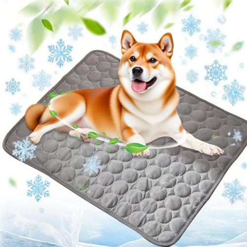 KeyoGoS 2025 New Dog Cooling Matt, 2025 Neue Selfkühlungspad für Hunde und Katzen, keine Kühlung oder Kühlung für Hunde im heißen Sommer (B, XL 100 x 70 cm) von KeyoGoS