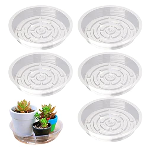 Keyubria 5 Stück Transparent Blumentopf, Klarsicht Pflanzenuntersetzer Tropfschalen, Runder Blumentopfuntersetzer Pflanzen Untertopf Für Innen Und Außenpflanzen, 20.3 cm von Keyubria