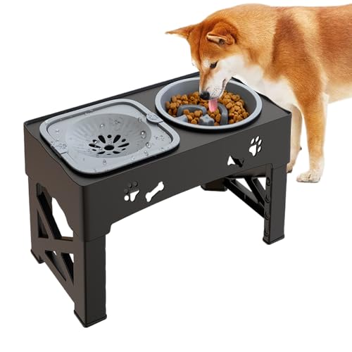 Keyubria Erhöhter Slow Feeder - Höhenverstellbarer Napfständer Mit Slow Feeder Napf - Tierfutterspender & Trinkbrunnen für Kleintiere, Katzenwelpen & Hunde von Keyubria