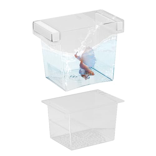 Keyubria Fisch-Zuchtbox für Aquarium - Jungfisch-Separator für Aquarium | Trennbox Aufzucht Schutz Brut Laich Guppy Betta Jungfische Lösung Keyubria Fisch-Zuchtbox für Aquarium - Jungfisch-Separator für Aquarium | Trennbox Aufzucht Schutz Brut Laich Guppy Betta Jungfische Lösung von Keyubria