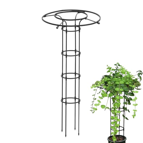 Keyubria Garten Rankgitter Für Kletterpflanzen - Vertikale Metall-Blumenstütze,Dekoratives Spalier Für Gemüseblumen & Rankpflanzen Im Garten, Rasen & Außenbereich Keyubria Garten Rankgitter Für Kletterpflanzen - Vertikale Metall-Blumenstütze,Dekoratives Spalier Für Gemüseblumen & Rankpflanzen Im Garten, Rasen & Außenbereich von Keyubria