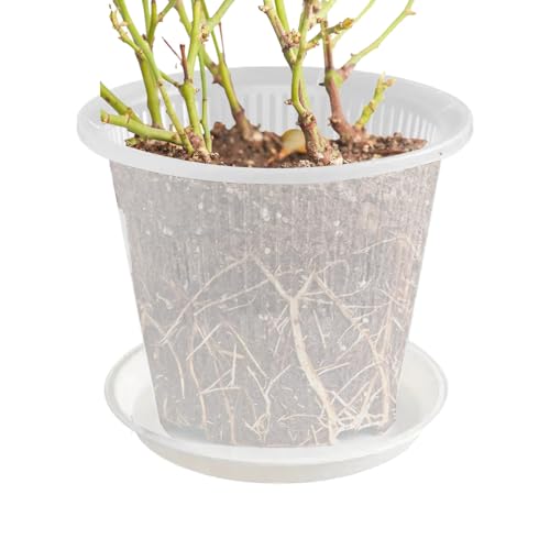 Keyubria Orchideentöpfe Transparen, 16cm Plastik Pflanztöpfe mit Löchern und Untertassen, Orchideentöpfe aus Kunststoff, ideal für die Pflege von Orchideen Keyubria Orchideentöpfe Transparen, 16cm Plastik Pflanztöpfe mit Löchern und Untertassen, Orchideentöpfe aus Kunststoff, ideal für die Pflege von Orchideen von Keyubria