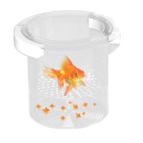 Keyubria Zuchtbox Für Aquarium - Schwimmende Aquarium Zuchtbox,Trennbox Aufzucht Schutz Brut Laich Guppy Betta Jungfische Lösung Keyubria Zuchtbox Für Aquarium - Schwimmende Aquarium Zuchtbox,Trennbox Aufzucht Schutz Brut Laich Guppy Betta Jungfische Lösung von Keyubria