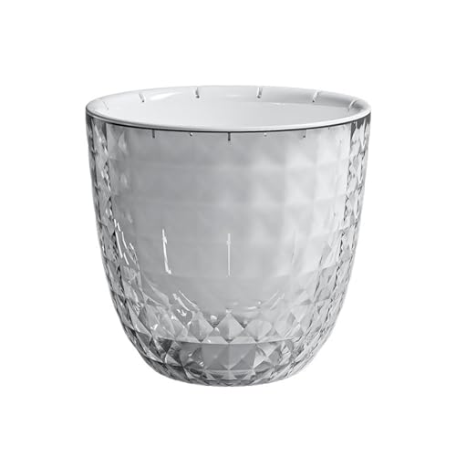 Kfwfuaee Autowässerung Transparente Pflanzer Lazy Hydroponic Blütentöpfe Für Pothos Pflanze Mühelos Wartung Transparente Automatischwässerung Topf von Kfwfuaee