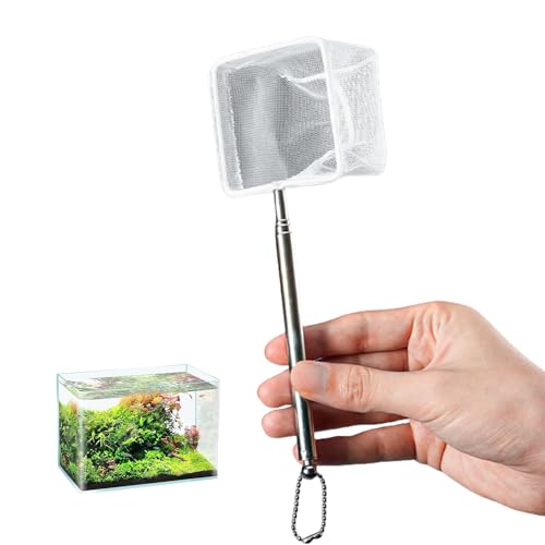 Kfwfuaee Einstellbares Ausziehbares Fischnetz Für Aquarien Mit Edelstahlgriff Und Feine Nylonnetze Für Panzer Reinigen Fischereinetz Kfwfuaee Einstellbares Ausziehbares Fischnetz Für Aquarien Mit Edelstahlgriff Und Feine Nylonnetze Für Panzer Reinigen Fischereinetz von Kfwfuaee