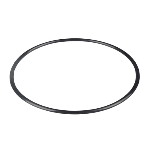Schwere Wasserdichte Dichtungsringe Für PLM175 PLM200 PLM300 PLM100 PLM125 PLM150 Poolfiltersysteme 27001-0061S O-484 O Ringe Ersatz von Kfwfuaee
