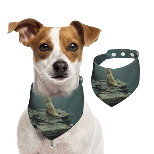 Hundehalstuch, Fuchs im Canyon, verstellbar, für Jungen und Mädchen, geeignet für Katzen und Hunde, Haustierzubehör Hundehalstuch, Fuchs im Canyon, verstellbar, für Jungen und Mädchen, geeignet für Katzen und Hunde, Haustierzubehör von Khkbnb