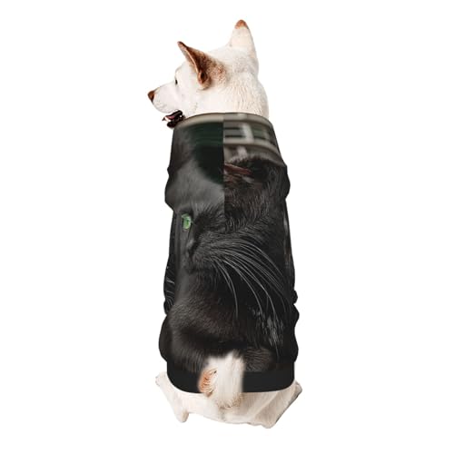 Kapuzenpullover für kleine Katzen, Hunde, weich, atmungsaktiv, für kleine Hunde, Schwarz von Khkbnb