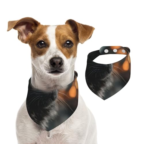 The Cat by The Window Hundehalstuch, verstellbar, für Jungen und Mädchen, geeignet für Katzen und Hunde, Haustierzubehör The Cat by The Window Hundehalstuch, verstellbar, für Jungen und Mädchen, geeignet für Katzen und Hunde, Haustierzubehör von Khkbnb