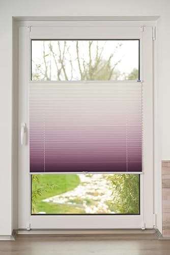 K-home® Klemmfix-Plissee Farbverlauf Bordeaux B115 x H130 cm von Khome