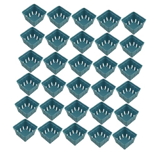 KiBcsLic 30 Teiliger Korb, Obstaufbewahrungskörbe, Obstkisten, Mini Geformter Obstkorb mit Belüftung für Den Lebensmitteleinkauf zu Hause, Blau KiBcsLic 30 Teiliger Korb, Obstaufbewahrungskörbe, Obstkisten, Mini Geformter Obstkorb mit Belüftung für Den Lebensmitteleinkauf zu Hause, Blau von KiBcsLic