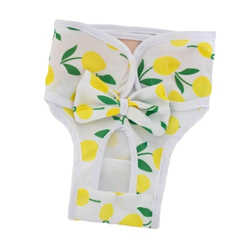 KiBcsLic Als Wiederverwendbare Läufigkeitshöschen Und Waschbare Welpenwindeln Schutzhöschen mit Hochsaugfähigem Kern Aus Polyester für Junge Hund, S KiBcsLic Als Wiederverwendbare Läufigkeitshöschen Und Waschbare Welpenwindeln Schutzhöschen mit Hochsaugfähigem Kern Aus Polyester für Junge Hund, S von KiBcsLic