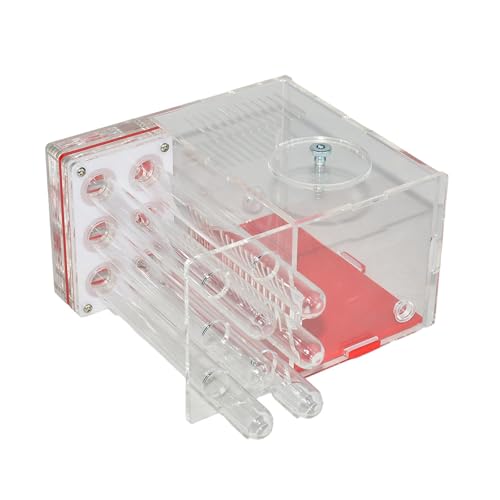 KiBcsLic Ameisenhaus Acryl Farm Villa Ameisenbehausung DIY Feuchtigkeitsbox mit Transparentem Futterbereich aus Acryl für Kinderzimmer Wohnzimmer, 1.5 cm von KiBcsLic