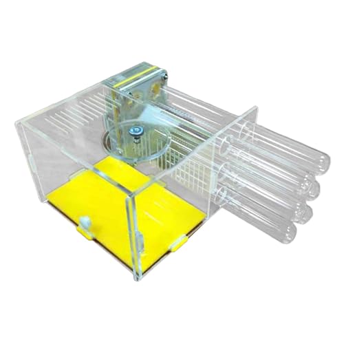 KiBcsLic Ameisenhaus Acryl Farm Villa Ameisenbehausung DIY Feuchtigkeitsbox mit Transparentem Futterbereich aus Acryl für Kinderzimmer Wohnzimmer, 1.8 cm KiBcsLic Ameisenhaus Acryl Farm Villa Ameisenbehausung DIY Feuchtigkeitsbox mit Transparentem Futterbereich aus Acryl für Kinderzimmer Wohnzimmer, 1.8 cm von KiBcsLic