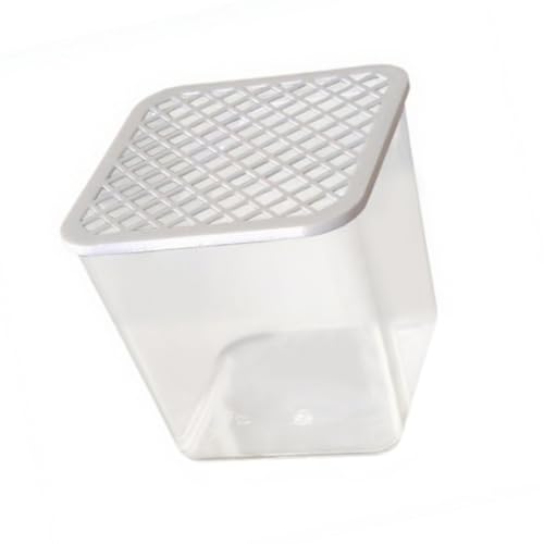 KiBcsLic Aquarium Miniatur Fischbecken Als Schreibtisch Terrarium Und Dekorationsobjekt Oder Aufzuchtbecken Vielseitig Nutzbar für Fische mit Deckel für Saube KiBcsLic Aquarium Miniatur Fischbecken Als Schreibtisch Terrarium Und Dekorationsobjekt Oder Aufzuchtbecken Vielseitig Nutzbar für Fische mit Deckel für Saube von KiBcsLic