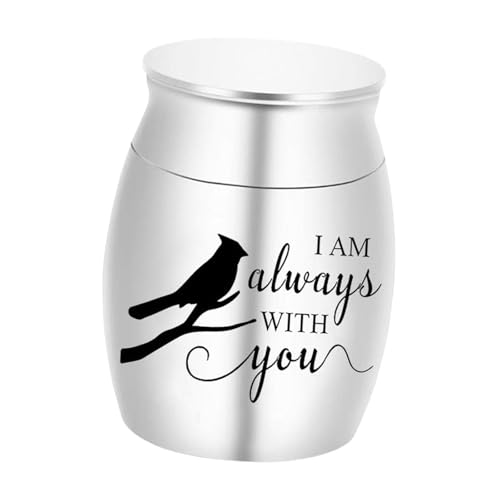 KiBcsLic Bestattungsbehälter, Bestattungsbox für Haustiere, Einzigartige Aufbewahrung Wertvoller Erinnerungen, Gedenkbox, Urne für Kätzchen, Kaninchen, Katzen, Silber von KiBcsLic