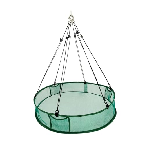 KiBcsLic Hängereifenstation, Tablett, Großer Vogelfutterspender, Vogelfutterreifen für Den Gartenrasen Im Freien, Mehrfarbig, 41cmx11cm KiBcsLic Hängereifenstation, Tablett, Großer Vogelfutterspender, Vogelfutterreifen für Den Gartenrasen Im Freien, Mehrfarbig, 41cmx11cm von KiBcsLic