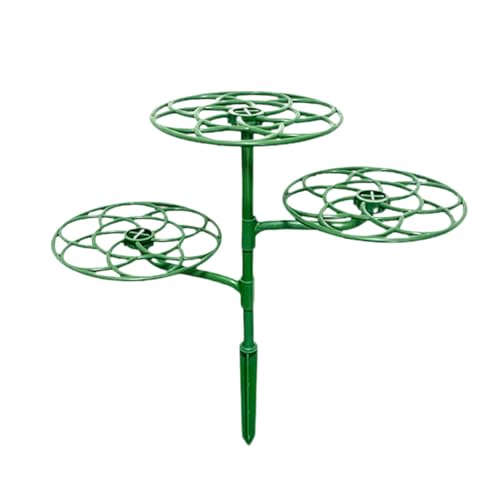 KiBcsLic Leitergestell, Pflanzenstützständer, Bonsai Kletterrebengestell, Stabiler Dekorativer Kletterstamm Stützpflanzenkäfigrahmen, Mehrfarbig, M von KiBcsLic
