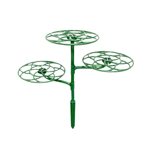 KiBcsLic Leitergestell, Pflanzenstützständer, Bonsai Kletterrebengestell, Stabiler Dekorativer Kletterstamm Stützpflanzenkäfigrahmen, Mehrfarbig, S von KiBcsLic
