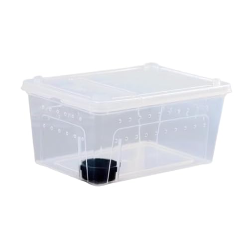 KiBcsLic Reptilien Zuchtbox Als Transparentes Terrarium Zuchtkasten Und Futterbehälter Dieser Transportkäfig Aus Wiederverwendbarem PP Bietet Klare, 32x22x15cmschwarze KiBcsLic Reptilien Zuchtbox Als Transparentes Terrarium Zuchtkasten Und Futterbehälter Dieser Transportkäfig Aus Wiederverwendbarem PP Bietet Klare, 32x22x15cmschwarze von KiBcsLic