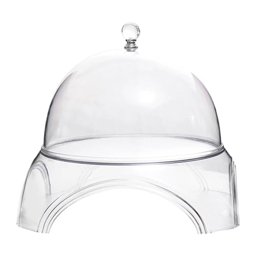 KiBcsLic Tortenplatte Als Kuchenpräsenter Serviertablett Und Gebäckschale Eine Stabile Dessertplatte Aus PET mit Haube Zur Präsentation für Cafés Bäckereien U, 22.5 cm X 24.5 cm von KiBcsLic