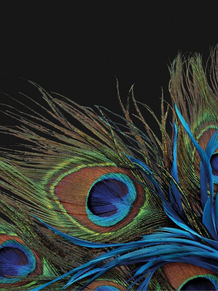 Wohndecke Mikrofaser Fotodruck "Pfau", KiNZLER von KiNZLER