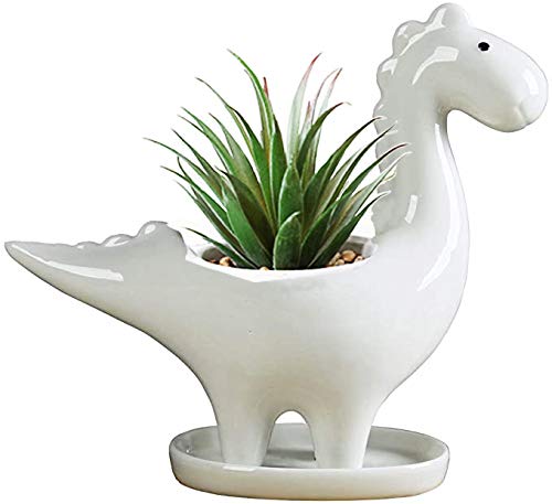 KiaoTime Dinosaurier-Form Weiß Keramik Sukkulenten Pflanzgefäße Töpfe kleine Pflanzgefäß Blume Bonsai Pflanze Dino Töpfe Vase Behälter Kaktus Desktop Tier Dekoration Stifthalter (Pflanzenfress) von KiaoTime