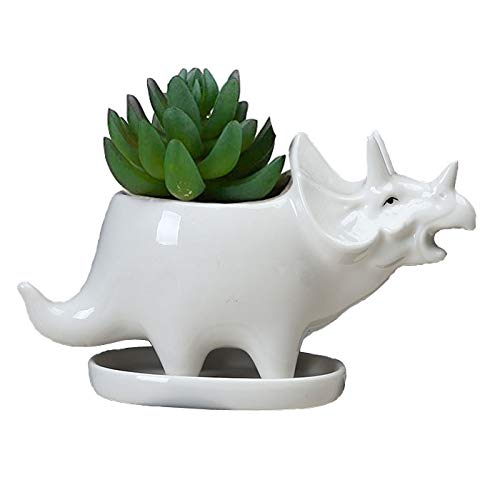 KiaoTime Weiße Keramik-Sukkulenten-Übertöpfe in Dinosaurier-Form, kleine Pflanzgefäße, Bonsai-Pflanze, Dino-Töpfe, Vase, Behälter, Kaktus, Schreibtisch, Tierdekoration, Stifthalter, Kindergartentöpfe von KiaoTime