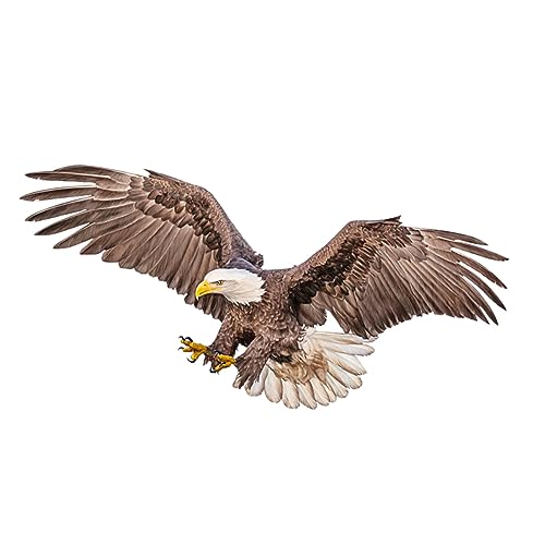 Eagle Wandaufkleber Realistisches Design Selbstklebend Dekoration für Wohnzimmer Büro Material Leicht Abziehbar für Glatte Oberflächen von Kichvoe