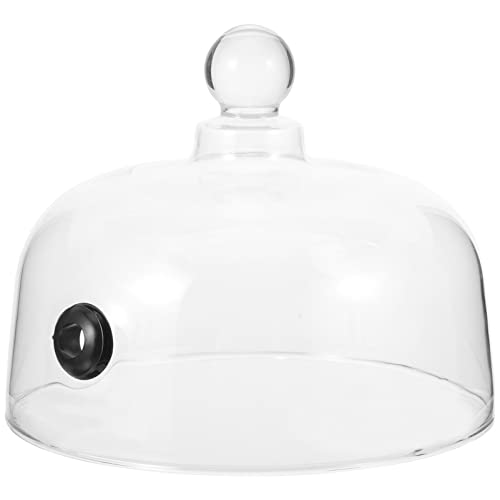Kichvoe Eieruhr Zum Mitkochen Räucherglocke Kuppelabdeckung Für Teesieb 16 Cm Klarglas Lebensmittelabdeckung Teesiebglocke Glockenglasdeckel Für Teller Gläser Schalen Dessert von Kichvoe