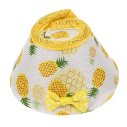 Kichvoe Parrot Halsband XL aus Schutzkragen gegen Federpicken und Beißen Vogel Nackenschutz für Schnelle Wundheilung Bequemer Farbenfroher Papagei Erholungskragen Kichvoe Parrot Halsband XL aus Schutzkragen gegen Federpicken und Beißen Vogel Nackenschutz für Schnelle Wundheilung Bequemer Farbenfroher Papagei Erholungskragen von Kichvoe