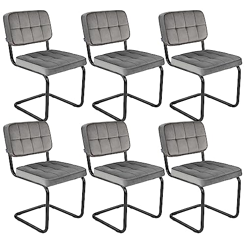 Kick Collection 6er Set Esszimmerstühl Ivy - Grau - Modern und Hochwertig - Samt und Metall - Erhältlich in vielen Farben Kick Collection 6er Set Esszimmerstühl Ivy - Grau - Modern und Hochwertig - Samt und Metall - Erhältlich in vielen Farben von Kick Collection