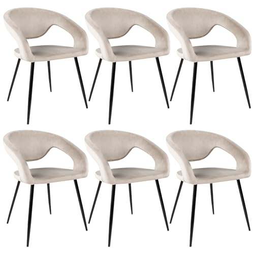 Kick Collection 6er Set Esszimmerstühl Lenn Velvet - Samt - Champagner - Modern und Hochwertig - Samtstoff und Metall - Erhältlich in vielen Farben von Kick Collection